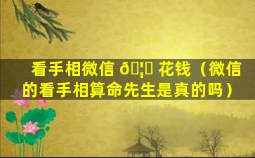 看手相微信 🦈 花钱（微信的看手相算命先生是真的吗）